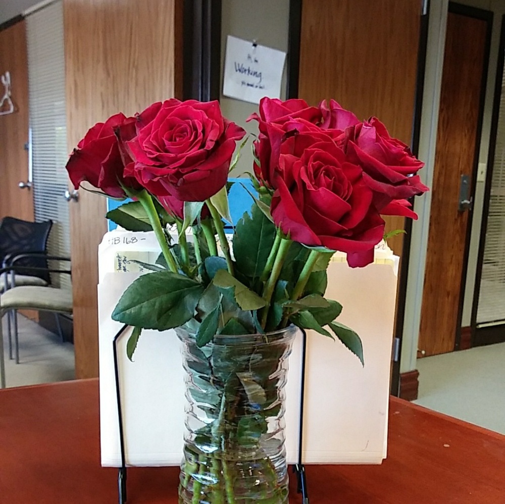 Meet your Posher, Shalena